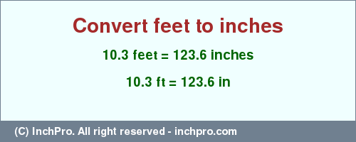 Result converting 10.3 feet to inches = 123.6 inches