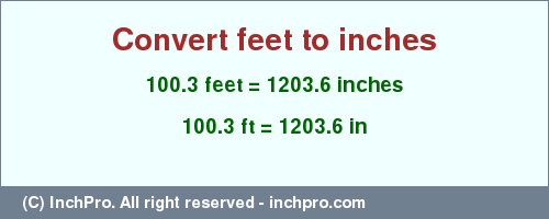 Result converting 100.3 feet to inches = 1203.6 inches