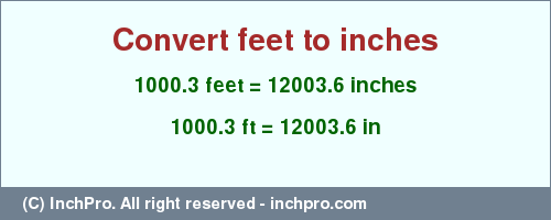 Result converting 1000.3 feet to inches = 12003.6 inches