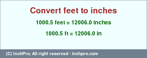 Result converting 1000.5 feet to inches = 12006.0 inches