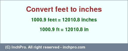 Result converting 1000.9 feet to inches = 12010.8 inches