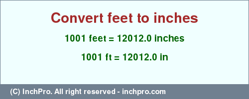 Result converting 1001 feet to inches = 12012.0 inches