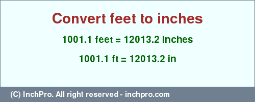 Result converting 1001.1 feet to inches = 12013.2 inches