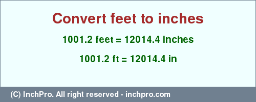 Result converting 1001.2 feet to inches = 12014.4 inches