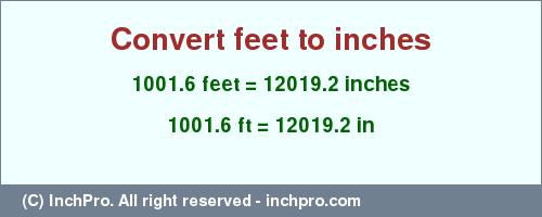 Result converting 1001.6 feet to inches = 12019.2 inches