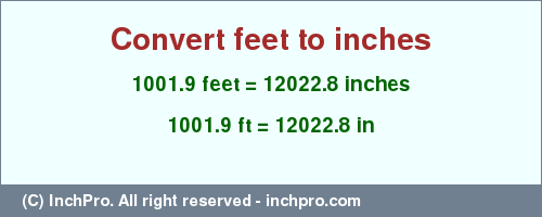 Result converting 1001.9 feet to inches = 12022.8 inches