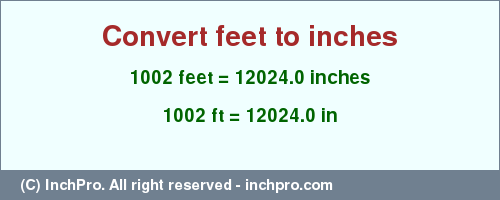 Result converting 1002 feet to inches = 12024.0 inches