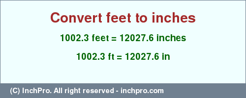 Result converting 1002.3 feet to inches = 12027.6 inches