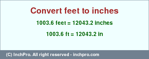 Result converting 1003.6 feet to inches = 12043.2 inches
