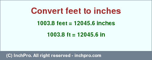 Result converting 1003.8 feet to inches = 12045.6 inches