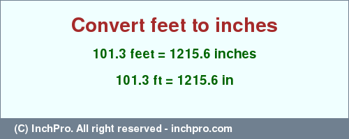 Result converting 101.3 feet to inches = 1215.6 inches