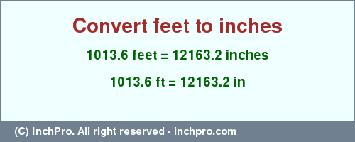 Result converting 1013.6 feet to inches = 12163.2 inches