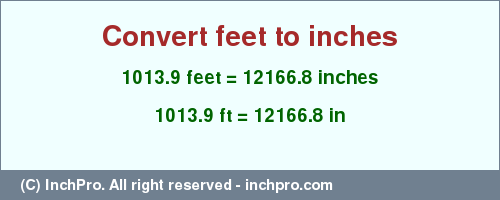 Result converting 1013.9 feet to inches = 12166.8 inches