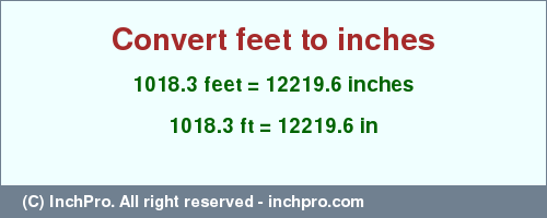 Result converting 1018.3 feet to inches = 12219.6 inches