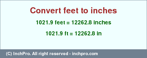 Result converting 1021.9 feet to inches = 12262.8 inches