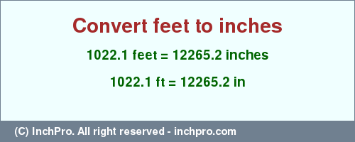 Result converting 1022.1 feet to inches = 12265.2 inches