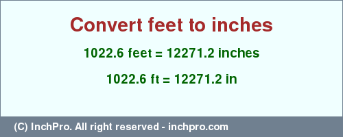 Result converting 1022.6 feet to inches = 12271.2 inches