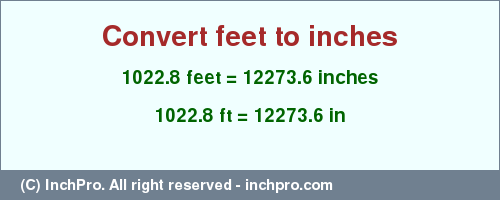 Result converting 1022.8 feet to inches = 12273.6 inches