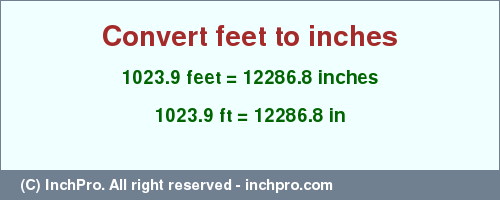 Result converting 1023.9 feet to inches = 12286.8 inches