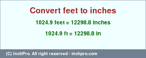 Result converting 1024.9 feet to inches = 12298.8 inches