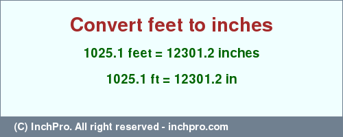 Result converting 1025.1 feet to inches = 12301.2 inches