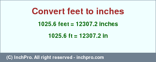 Result converting 1025.6 feet to inches = 12307.2 inches