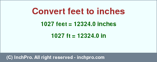 Result converting 1027 feet to inches = 12324.0 inches