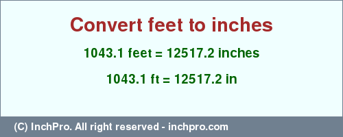 Result converting 1043.1 feet to inches = 12517.2 inches
