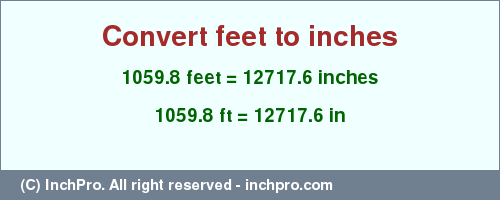 Result converting 1059.8 feet to inches = 12717.6 inches