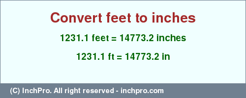 1231.1 feet to inches is equal to 14773.2 (in) Result converting 1231.1 feet to inches = 14773.2 inches