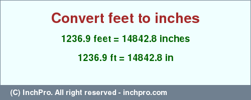Result converting 1236.9 feet to inches = 14842.8 inches