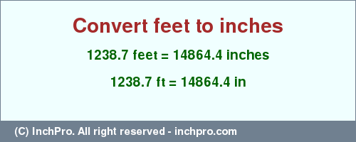 Result converting 1238.7 feet to inches = 14864.4 inches