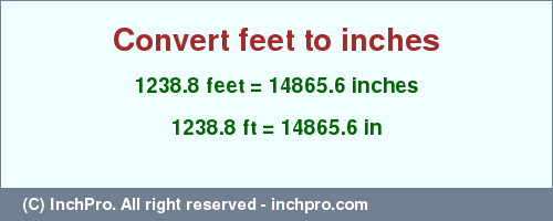 Result converting 1238.8 feet to inches = 14865.6 inches