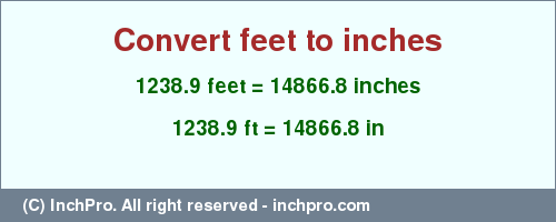 Result converting 1238.9 feet to inches = 14866.8 inches