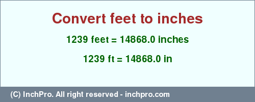 Result converting 1239 feet to inches = 14868.0 inches