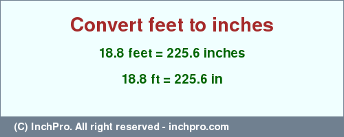 Result converting 18.8 feet to inches = 225.6 inches