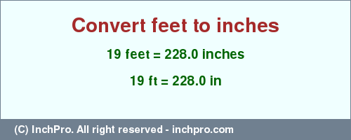 Result converting 19 feet to inches = 228.0 inches