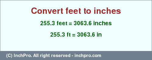 Result converting 255.3 feet to inches = 3063.6 inches