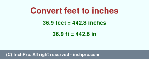 Result converting 36.9 feet to inches = 442.8 inches