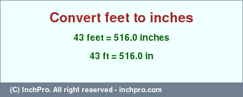 Result converting 43 feet to inches = 516.0 inches