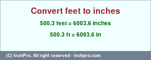 Result converting 500.3 feet to inches = 6003.6 inches