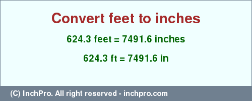 Result converting 624.3 feet to inches = 7491.6 inches
