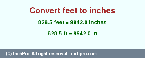 Result converting 828.5 feet to inches = 9942.0 inches