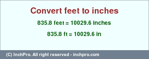 Result converting 835.8 feet to inches = 10029.6 inches