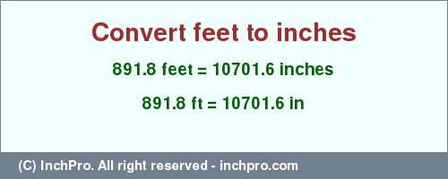 Result converting 891.8 feet to inches = 10701.6 inches