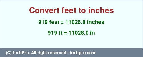 Result converting 919 feet to inches = 11028.0 inches
