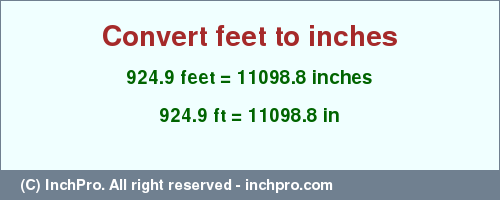 Result converting 924.9 feet to inches = 11098.8 inches