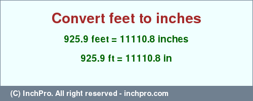 Result converting 925.9 feet to inches = 11110.8 inches