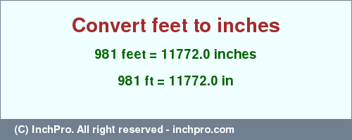 Result converting 981 feet to inches = 11772.0 inches