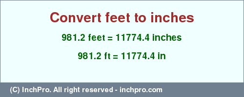 Result converting 981.2 feet to inches = 11774.4 inches